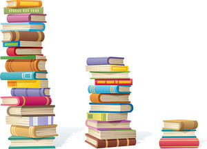 Build a Better Library Donation