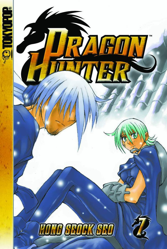 DRAGON HUNTER GN VOL 07 (OF 19)