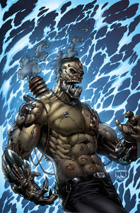 GFT VAN HELSING VS FRANKENSTEIN #2 (OF 5) CVR A METCALF (MR)