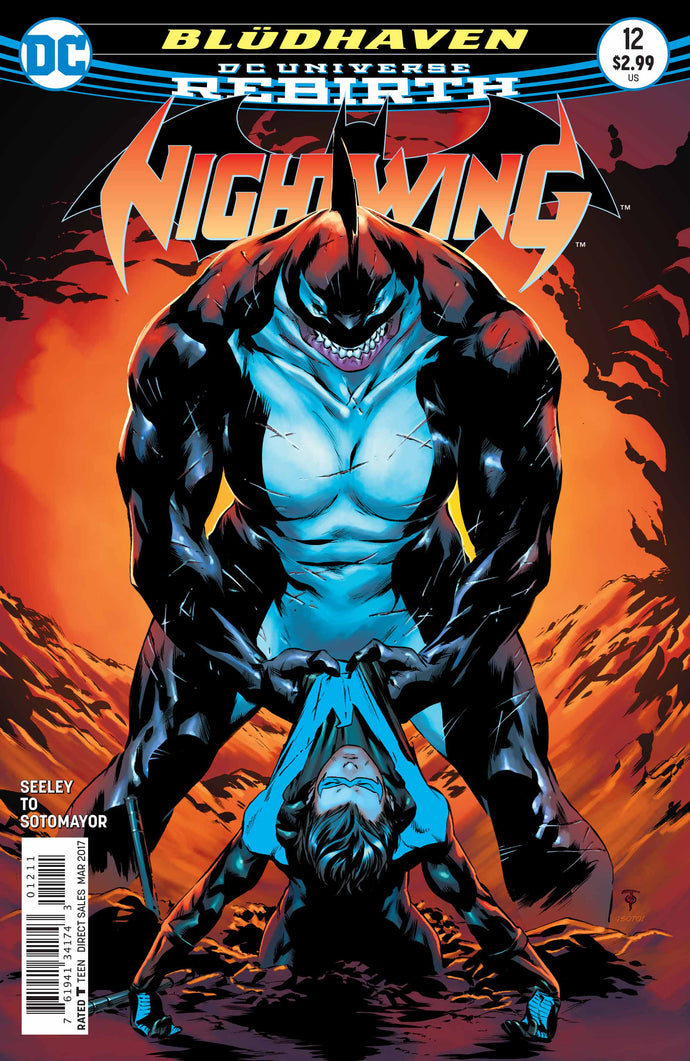 NIGHTWING #12