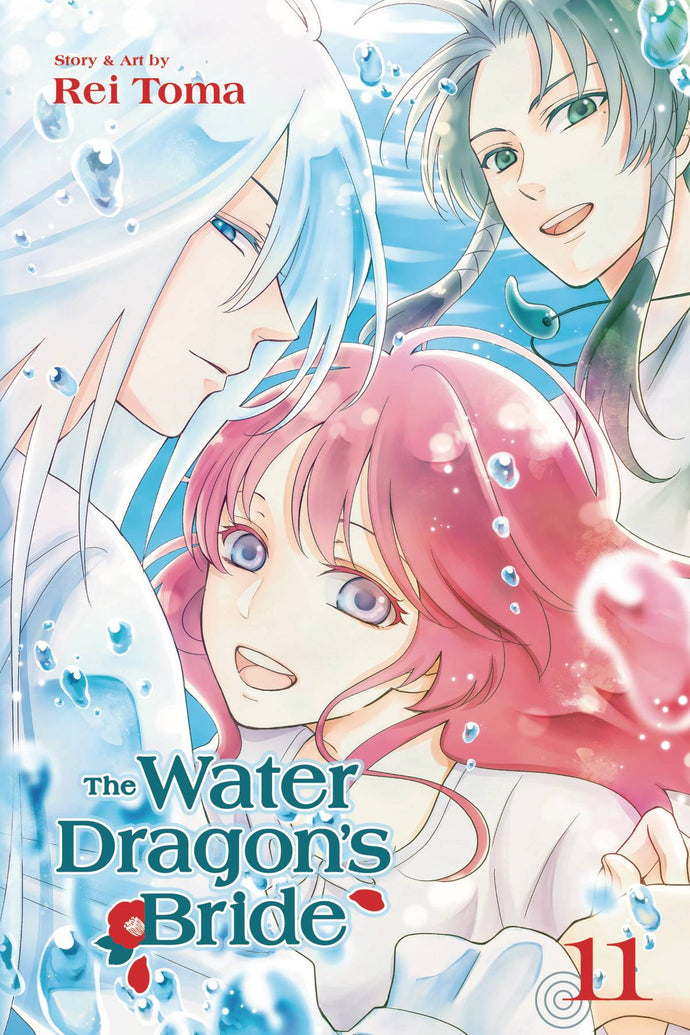 WATER DRAGON BRIDE GN VOL 11 (C: 1-1-2)