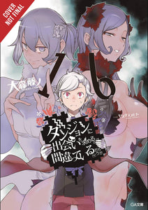 IS WRONG PICK UP GIRLS DUNGEON NOVEL SC VOL 16 (MR)