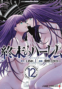 WORLDS END HAREM GN VOL 12 (MR)